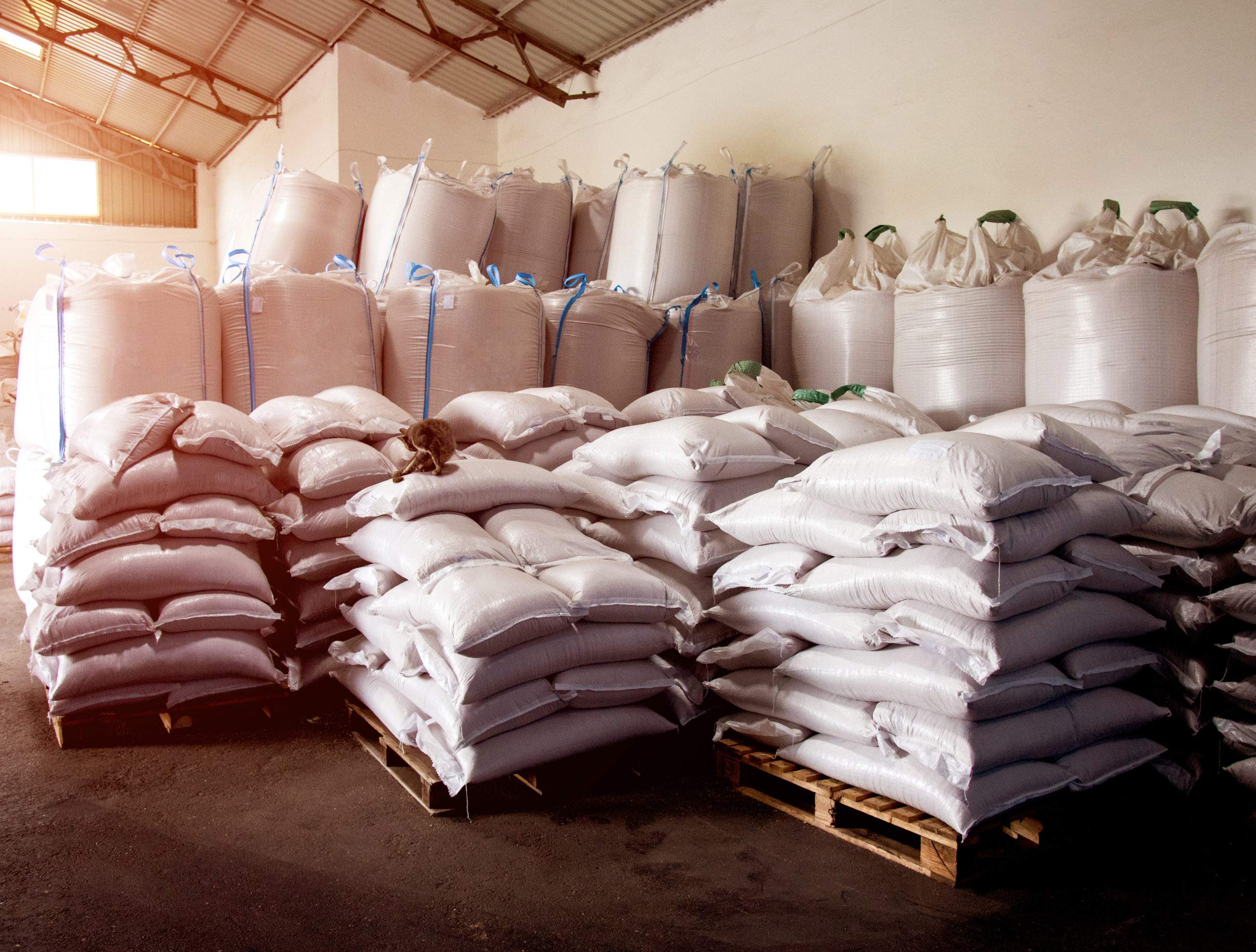 mgrm-agriculture-bags-of-grain-2-scaled