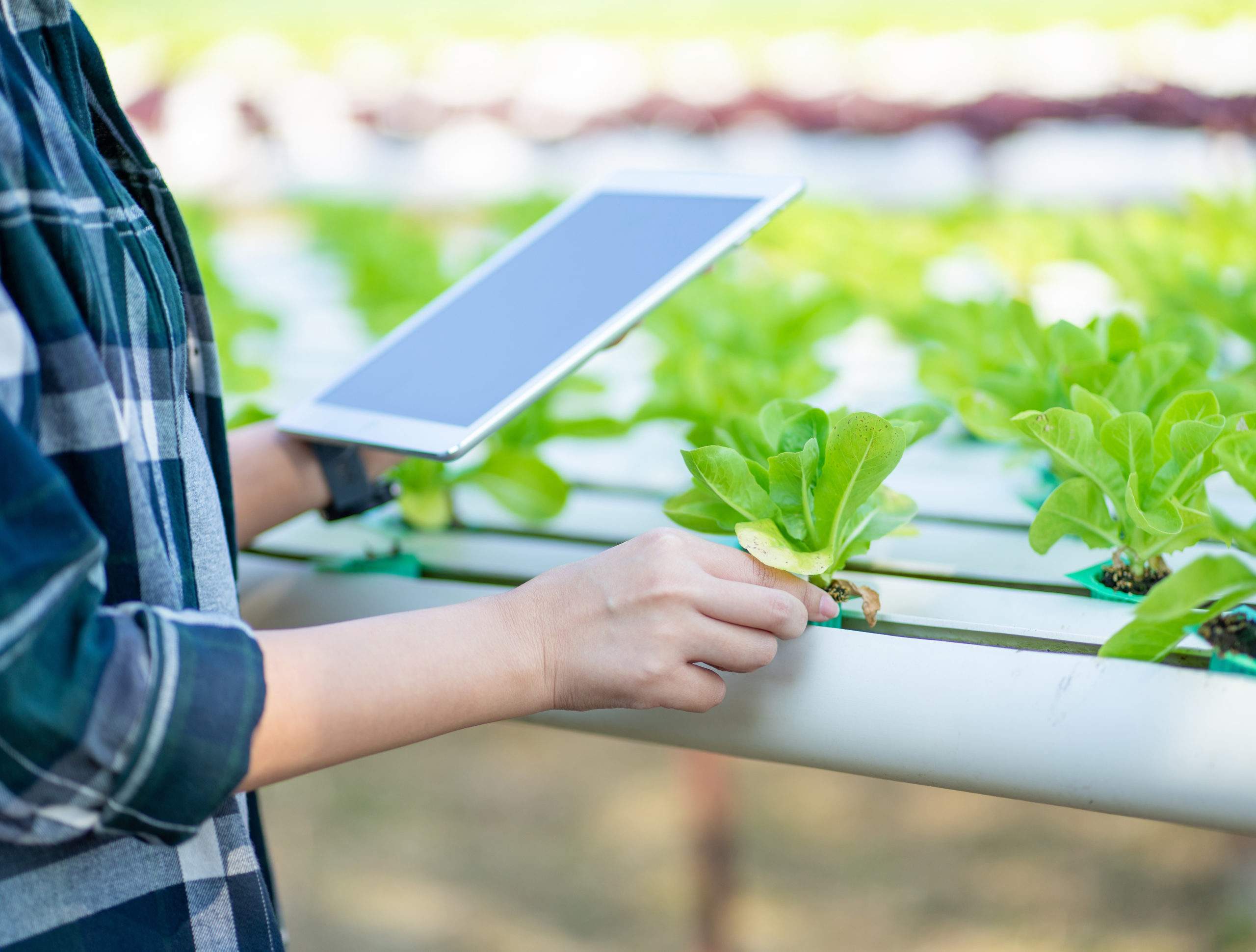 mgrm-agriculture-digital-table-2-scaled